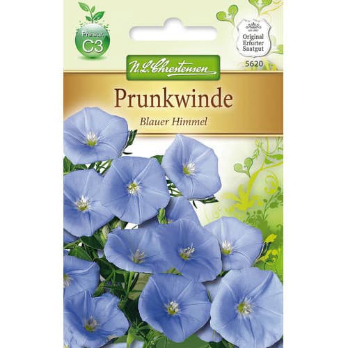 Prunkwinde Blauer Himmel interface.art Bild 1 Prunkwinde Blauer Himmel interface.image 1 interface.art 78984