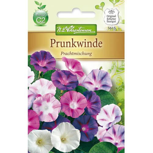 Prunkwinde Prachtmischung interface.art Bild 1 Prunkwinde Prachtmischung interface.image 1 interface.art 78983