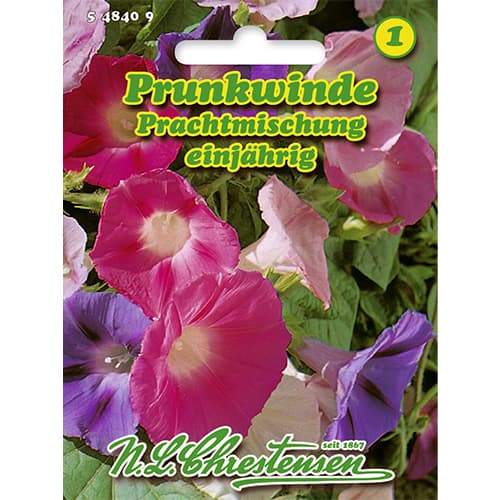Prunkwinde Prachtmischung Chrestensen interface.art Bild 1 Prunkwinde Prachtmischung Chrestensen interface.image 1 interface.art 86178