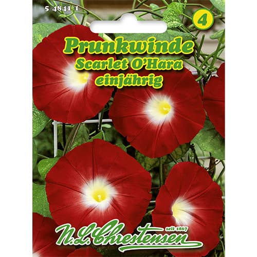 Prunkwinde Scarlet O`Hara interface.image 1 interface.art 86179