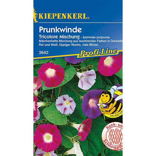 Prunkwinden Violett Tricolor, mix interface.art Bild 1 Prunkwinden Violett Tricolor, mix interface.image 1 interface.art 86303