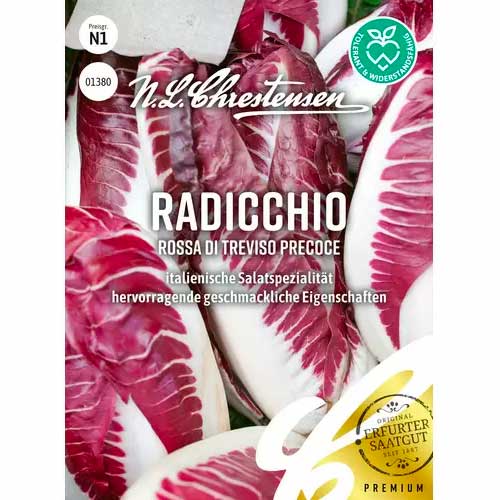 Radicchio Rossa di Treviso precoce Chrestensen  interface.image 1 interface.art 50053