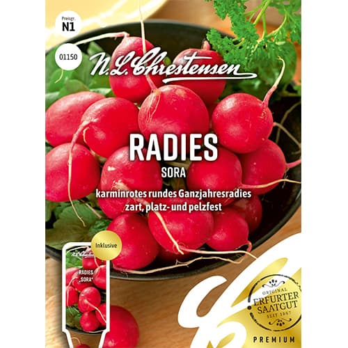 Radies Sora interface.art Bild 1 Radies Sora interface.image 1 interface.art 78736