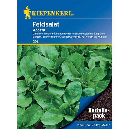 Feldsalat Accent interface.image 1 interface.art 77494
