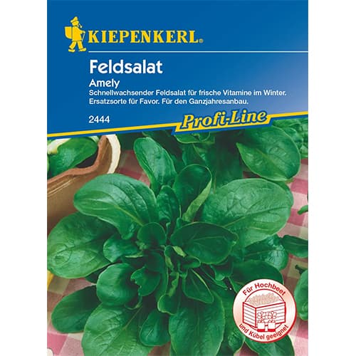 Feldsalat Amely interface.image 1 interface.art 87276