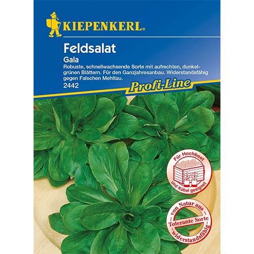 Feldsalat Gala interface.image 1 interface.art 86450