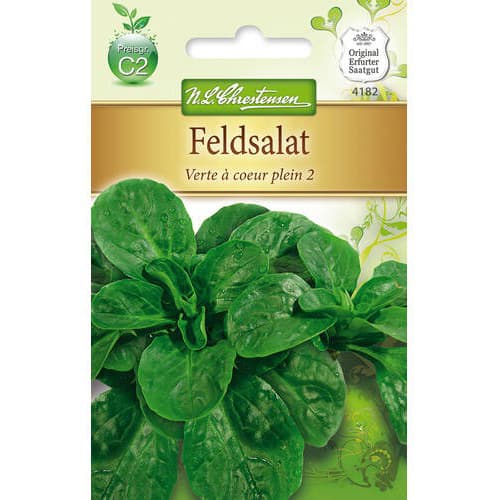 Feldsalat Verte a coeur plein 2 interface.image 1 interface.art 78766