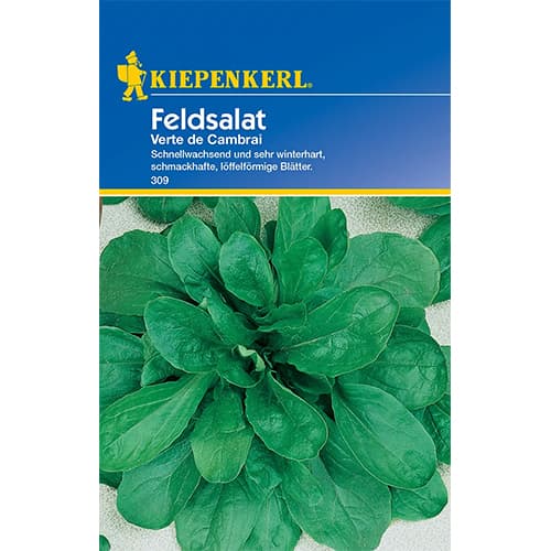 Feldsalat Verte de Cambrai interface.image 1 interface.art 77493