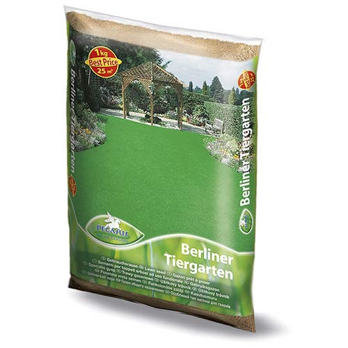 Rasensamen Berliner Tiergarten (1kg) interface.art Bild 1 Rasensamen Berliner Tiergarten (1kg) interface.image 1 interface.art 96894