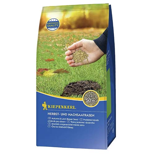 Herbst- und Nachsaatrasen (1kg) interface.art Bild 1 Herbst- und Nachsaatrasen (1kg) interface.image 1 interface.art 96888