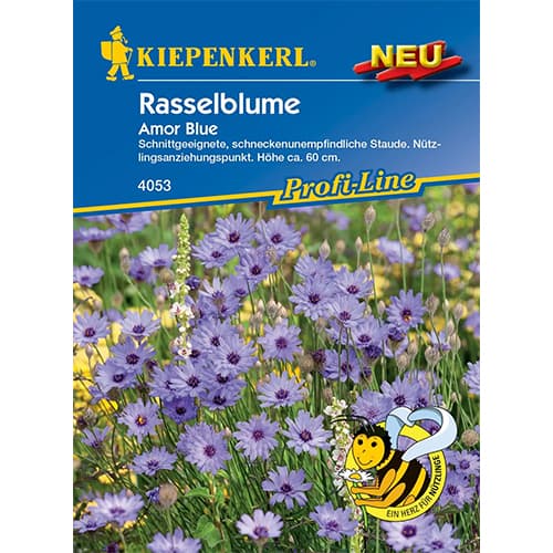 Rasselblume Amor Blue interface.art Bild 1 Rasselblume Amor Blue interface.image 1 interface.art 87757