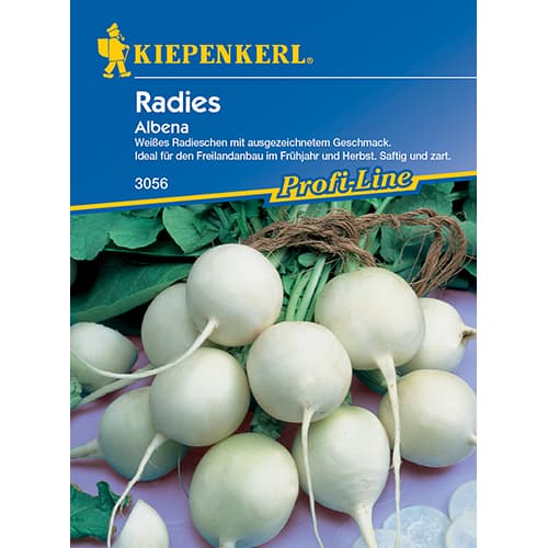 Radies Albena interface.image 1 interface.art 86508