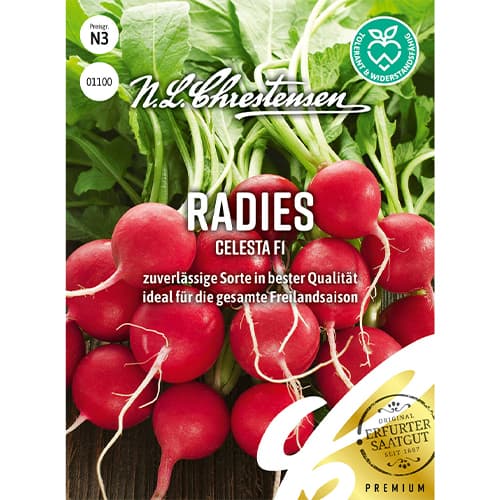 Radies Celesta F1 interface.image 1 interface.art 86085