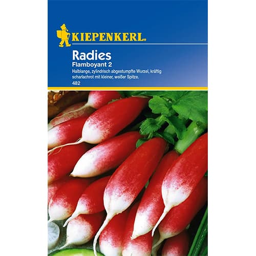 Radies Flamboyant 2 interface.image 1 interface.art 96650