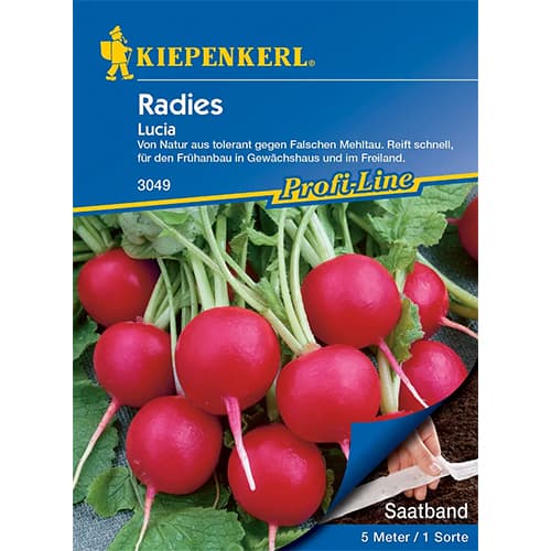 Radies Lucia F1 interface.image 1 interface.art 86510