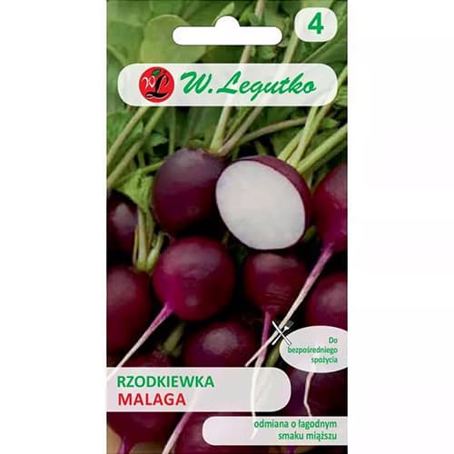 Rettich Malaga interface.image 1 interface.art 86896