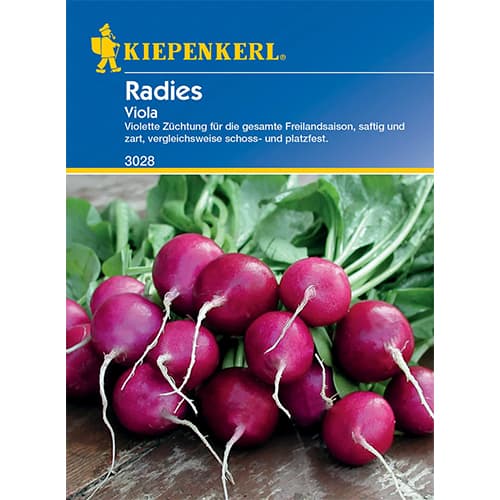Radies Viola Kiepenkerl interface.image 1 interface.art 77487