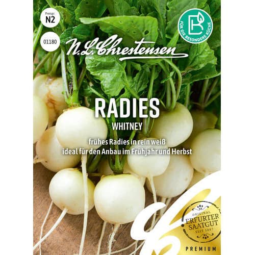 Radies Whitney interface.image 1 interface.art 96488