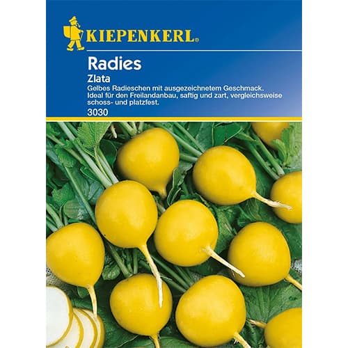 Radies Zlata interface.image 1 interface.art 96654