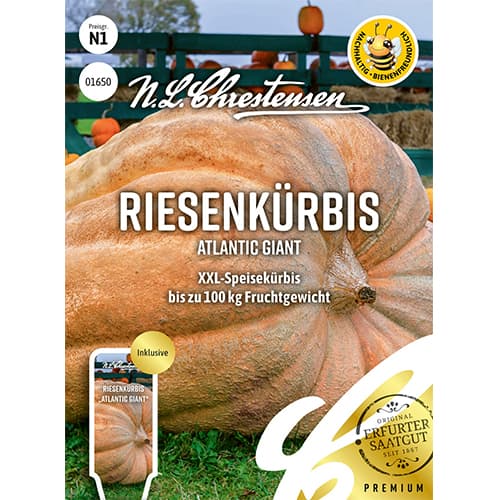 Riesenkürbis Atlantic Giant interface.image 1 interface.art 87848