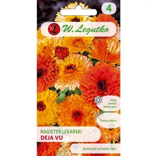 Ringelblume Deja Vu Legutko interface.art Bild 1 Ringelblume Deja Vu Legutko interface.image 1 interface.art 96759