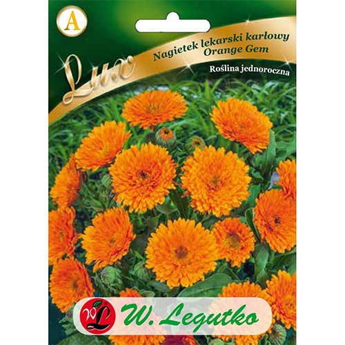 Ringelblume Orange Gem interface.art Bild 1 Ringelblume Orange Gem interface.image 1 interface.art 86749