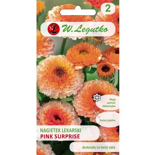 Ringelblume Pink Surprise Legutko interface.art Bild 1 Ringelblume Pink Surprise Legutko interface.image 1 interface.art 78582