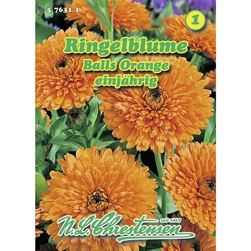 Ringelblume Balls Orange interface.art Bild 1 Ringelblume Balls Orange interface.image 1 interface.art 96405