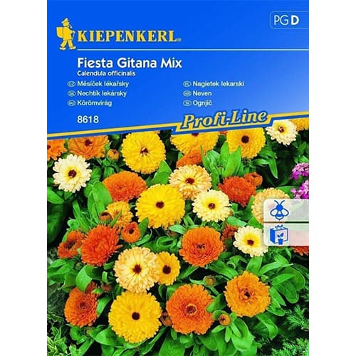 Ringelblumen Fiesta Gitana interface.art Bild 1 Ringelblumen Fiesta Gitana interface.image 1 interface.art 96519