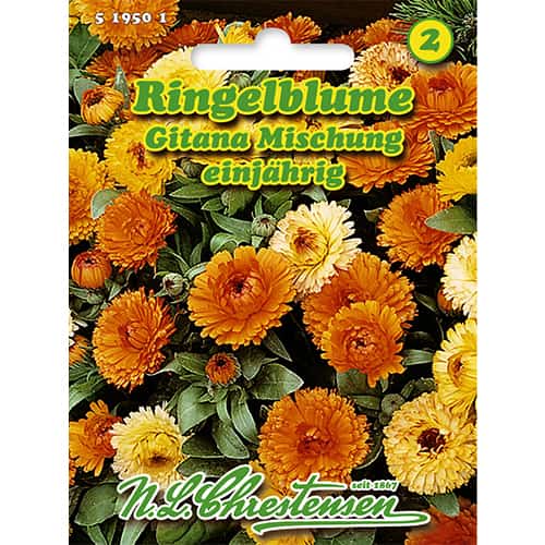 Ringelblume Gitana Mischung interface.art Bild 1 Ringelblume Gitana Mischung interface.image 1 interface.art 86127