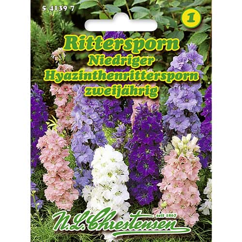 Rittersporn Niedriger Hyazinthenrittersporn interface.art Bild 1 Rittersporn Niedriger Hyazinthenrittersporn interface.image 1 interface.art 86144