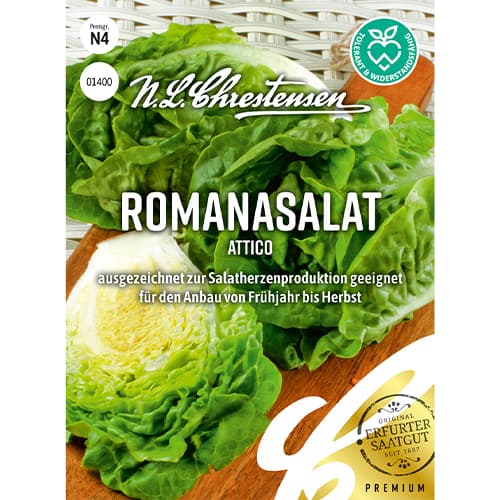 Romanasalat Attico interface.image 1 interface.art 86092