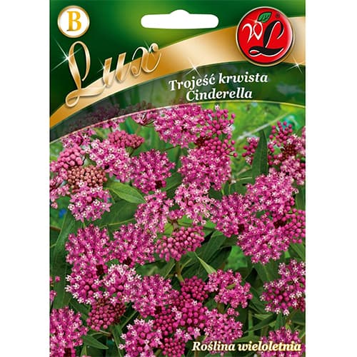 Rosablühende Seidenpflanze interface.image 1 interface.art 96780