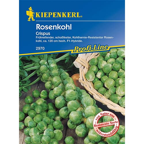 Rosenkohl Crispus F1 interface.image 1 interface.art 96658