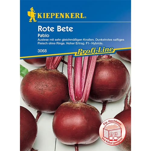 Rote Bete Pablo F1 interface.image 1 interface.art 86518