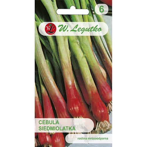 Rote Lauchzwiebel Red Toga interface.art Bild 1 Rote Lauchzwiebel Red Toga interface.image 1 interface.art 78452