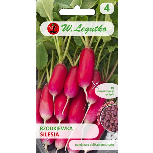 Roter Rettich Silesia Legutko interface.art Bild 1 Roter Rettich Silesia Legutko interface.image 1 interface.art 50140