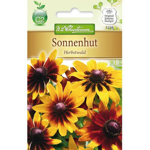 Sonnenhut Herbstwald interface.image 1 interface.art 78934