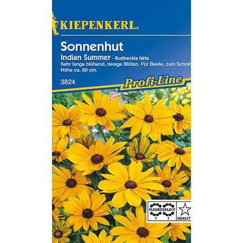 Sonnenhut Rudbeckia Indian Summer interface.image 1 interface.art 86330