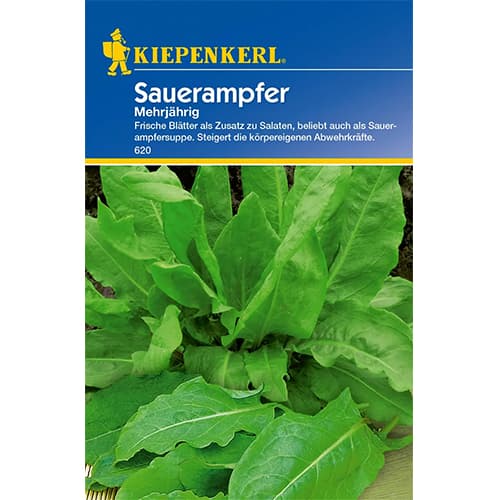 Sauerampfer Mehrjährig interface.art Bild 1 Sauerampfer Mehrjährig interface.image 1 interface.art 77474