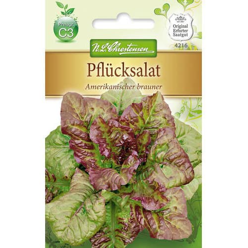 Pflücksalat Amerikanischer Brauner Chrestensen interface.image 1 interface.art 78777