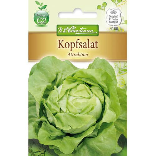 Kopfsalat Attraktion Chrestensen interface.image 1 interface.art 78768