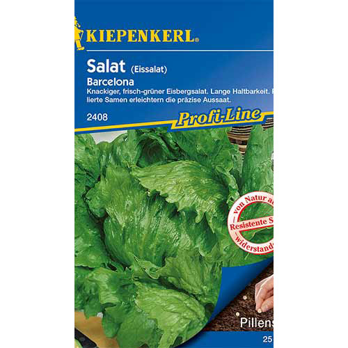 Eissalat Barcelona interface.image 1 interface.art 86446