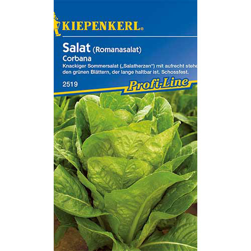 Romansalat Corbana interface.image 1 interface.art 86516