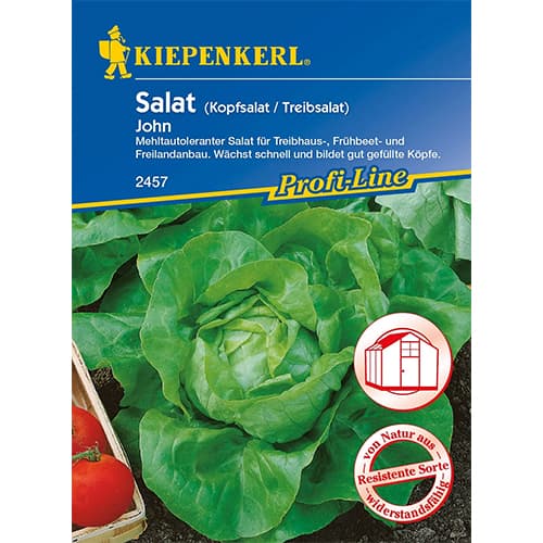 Kopfsalat John interface.image 1 interface.art 96626