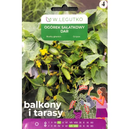 Salatgurke Dar interface.image 1 interface.art 69647