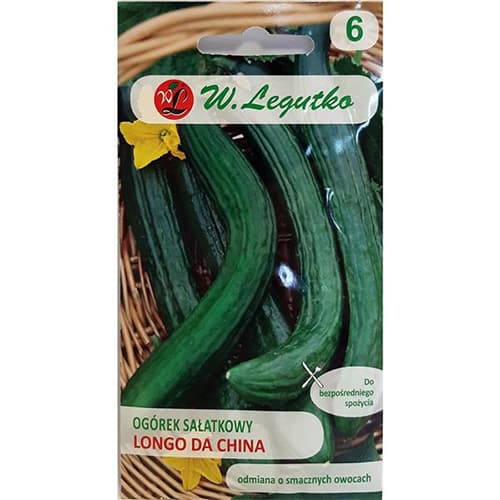 Salatgurke Longo da China interface.art Bild 1 Salatgurke Longo da China interface.image 1 interface.art 69503