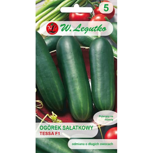 Salatgurke Tessa F1 interface.image 1 interface.art 86884