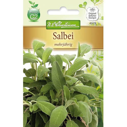 Salbei mehrjährig interface.image 1 interface.art 78869