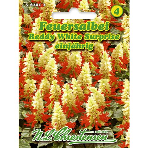 Salbei Reddy White Surprise interface.image 1 interface.art 86185